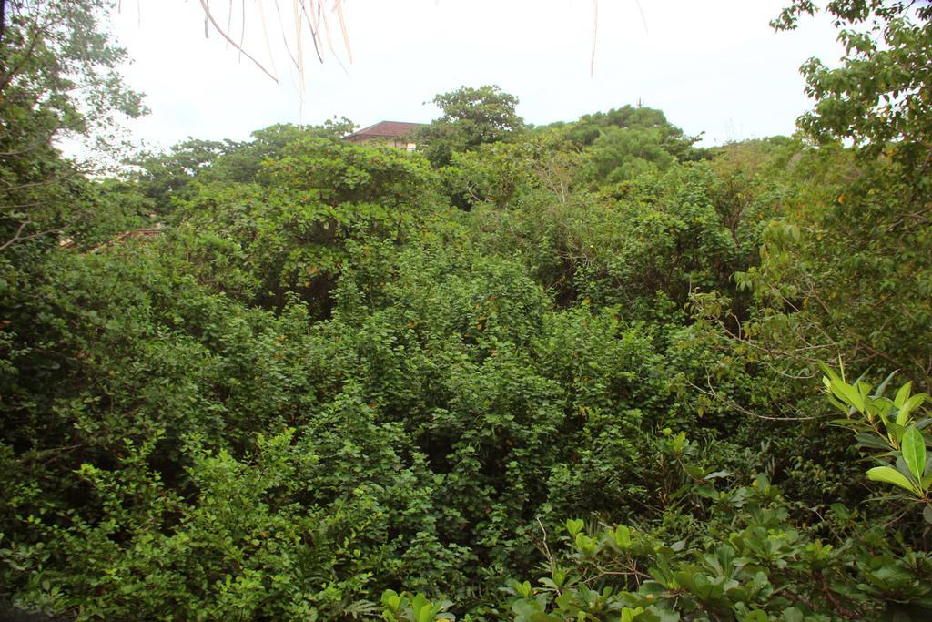 Seasons Four Mini Jungle Cabana Matara Eksteriør bilde