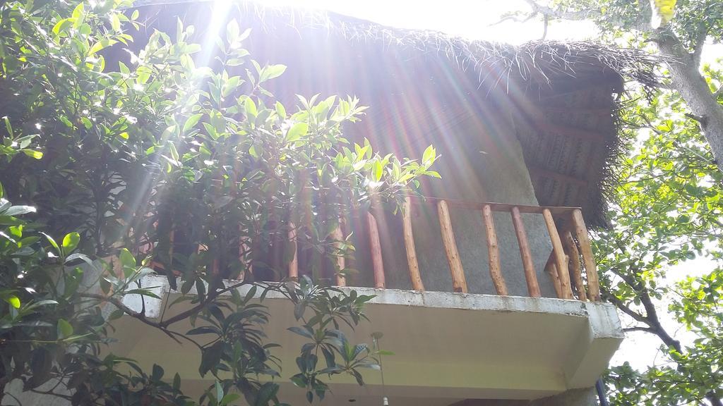 Seasons Four Mini Jungle Cabana Matara Eksteriør bilde